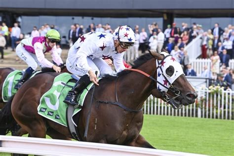 Pago Pago Stakes 2024 .